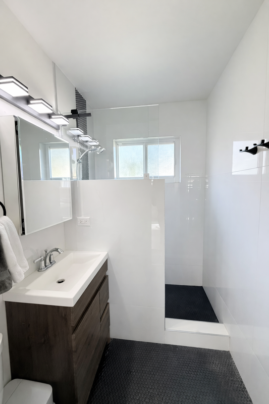 Modern Bathroom Remodel with Walk-In Shower